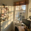 Photo 2: Your bedroom window gets the afternoon/eve sun