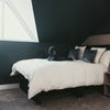 Photo 7: Bedroom