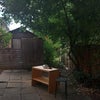 Photo 8: Garden