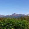Photograph of Arwen