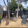 Photo 4: Backyard 