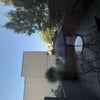 Photo 8: Patio
