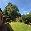 Photo 8: Garden