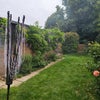Photo 8: Garden
