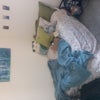 Photo 4: Room avaliable 