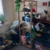 Photo 5: Basic bed + drawers included