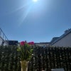 Photo 9: More sun on the terrace vibes