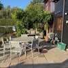 Photo 6: Garden terrace