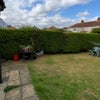 Photo 8: Backyard