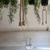 Photo 5: Kitchen