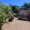 Photo 8: Garden
