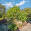 Photo 3: Garden