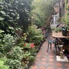 Photo 9: Beautiful terrace garden
