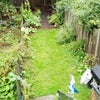 Photo 4: Garden