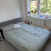 Photo 8: Room