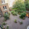 Photo 7: Back yard/garden