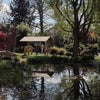 Photo 9: Japanese Gardens - 3 mins walk 