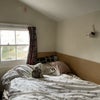 Photo 4: double bed (jellycat not included)