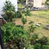 Photo 6: Balcony and Garden