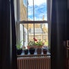 Photo 7: View from room to rent