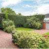 Photo 2: Front garden