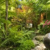 Photo 9: My garden