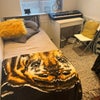 Photo 7: Beroom 3-single £700