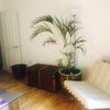 Photo 8: Living Room