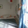 Photo 6: Front room morning light
