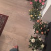 Photo 3: My plants