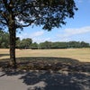 Photo 7: Park