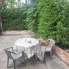 Photo 5: Garden