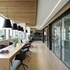 Photo 4: Study area