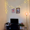 Photo 5: Living room