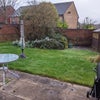 Photo 8: Garden