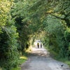 Photo 9: Lee Valley Regional Park