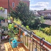 Photo 5: Balcony (with view of shared garden)