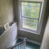Photo 4: lots of big windows