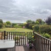 Photo 5: Back Garden
