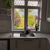 Photo 3: kitchen with view to the park 