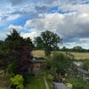 Photo 7: view to the park 