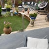 Photo 6: Day-time Garden