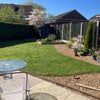 Photo 9: Sunny garden