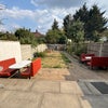 Photo 6: Garden