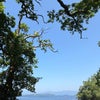 Photograph of Sunshine