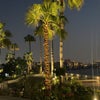 Photograph of Rola