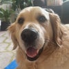 Photo 5: Celebrity resident 