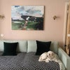 Photo 7: Our pet dog
