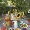 Photo 6: Picnic in the garden!