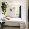Photo 5: Bedroom 2